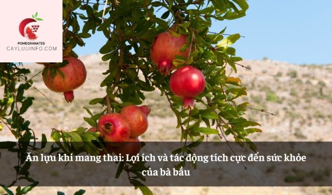 Ăn lựu khi mang thai: Lợi ích và tác động tích cực đến sức khỏe của bà bầu