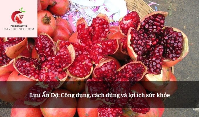 Lựu Ấn Độ: Công dụng, cách dùng và lợi ích sức khỏe