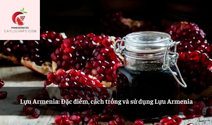 Lựu Armenia: Đặc điểm, cách trồng và sử dụng Lựu Armenia