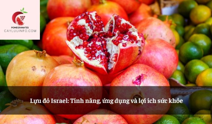 Lựu đỏ Israel: Tính năng, ứng dụng và lợi ích sức khỏe