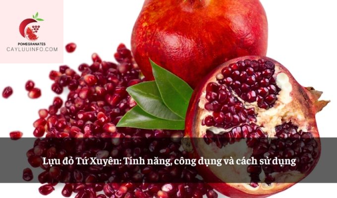 Lựu đỏ Tứ Xuyên: Tính năng, công dụng và cách sử dụng