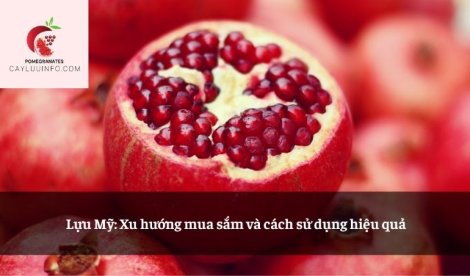 Lựu Mỹ: Xu hướng mua sắm và cách sử dụng hiệu quả