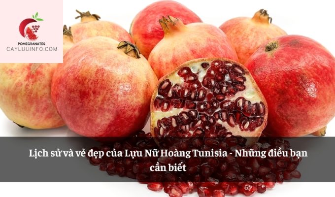 Lịch sử và vẻ đẹp của Lựu Nữ Hoàng Tunisia - Những điều bạn cần biết