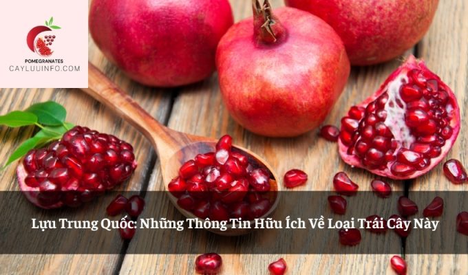 Lựu Trung Quốc: Những Thông Tin Hữu Ích Về Loại Trái Cây Này